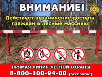 Внимание! Установился IV класс пожароопасности лесов!
